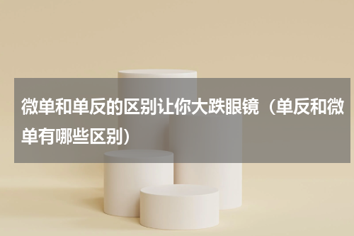 微单和单反的区别让你大跌眼镜（单反和微单有哪些区别）