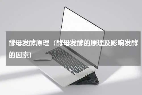 酵母发酵原理（酵母发酵的原理及影响发酵的因素）