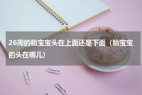26周的胎宝宝头在上面还是下面（胎宝宝的头在哪儿）