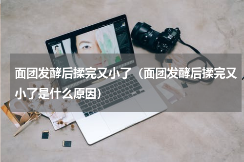 面团发酵后揉完又小了（面团发酵后揉完又小了是什么原因）