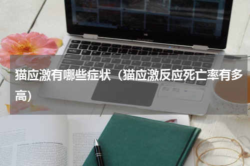 猫应激有哪些症状（猫应激反应死亡率有多高）
