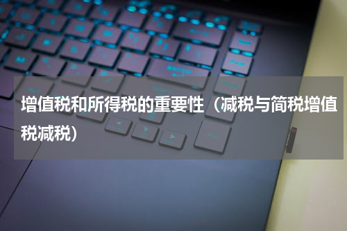 增值税和所得税的重要性（减税与简税增值税减税）