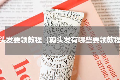 剪头发要领教程（剪头发有哪些要领教程）
