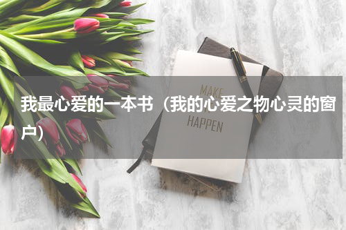 我最心爱的一本书（我的心爱之物心灵的窗户）