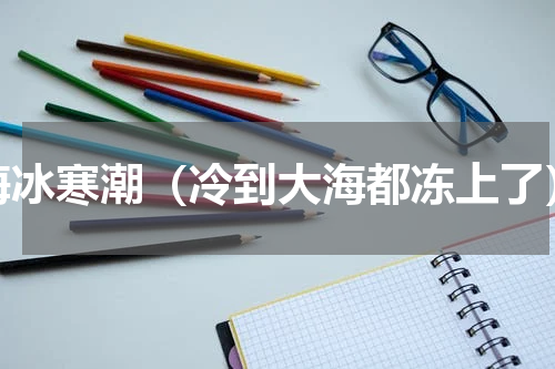 海冰寒潮（冷到大海都冻上了）