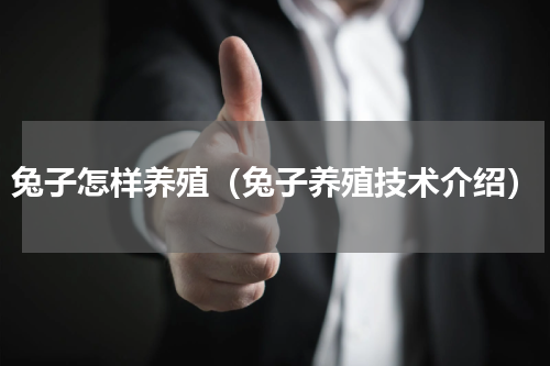 兔子怎样养殖（兔子养殖技术介绍）