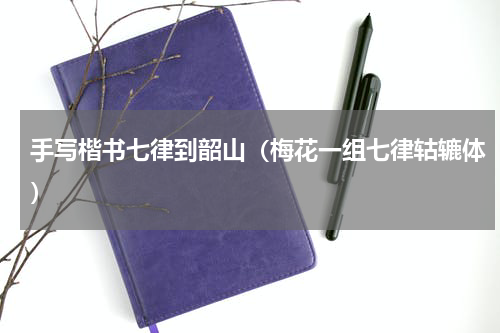 手写楷书七律到韶山（梅花一组七律轱辘体）