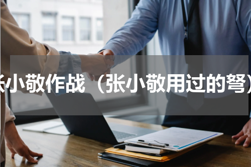张小敬作战（张小敬用过的弩）
