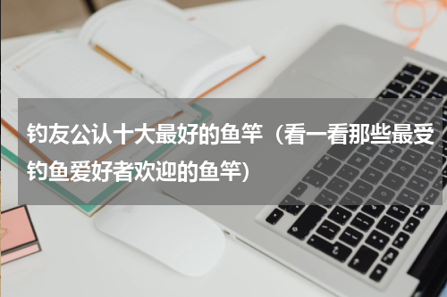 钓友公认十大最好的鱼竿（看一看那些最受钓鱼爱好者欢迎的鱼竿）