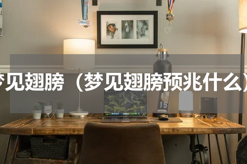 梦见翅膀（梦见翅膀预兆什么）