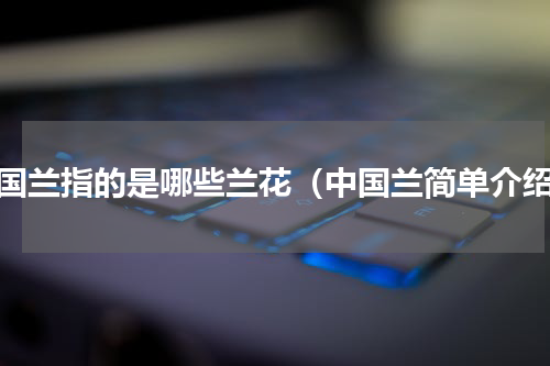 中国兰指的是哪些兰花（中国兰简单介绍）