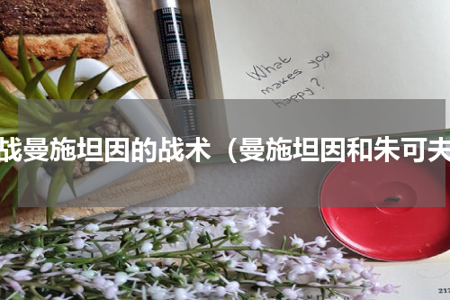 二战曼施坦因的战术（曼施坦因和朱可夫）