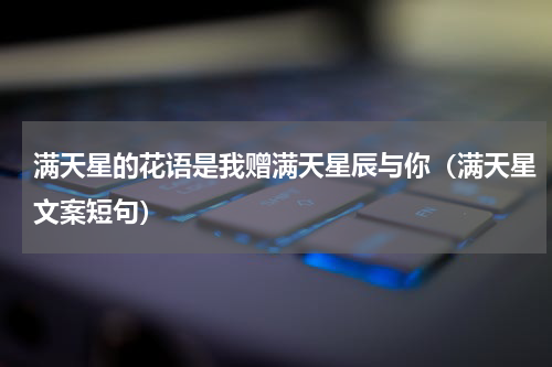 满天星的花语是我赠满天星辰与你（满天星文案短句）