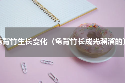 龟背竹生长变化（龟背竹长成光溜溜的）