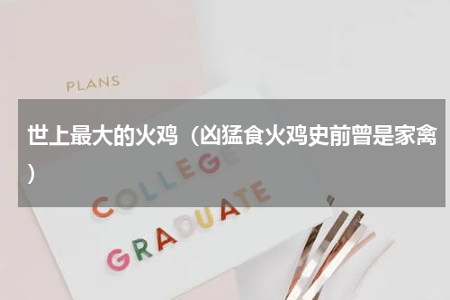 世上最大的火鸡（凶猛食火鸡史前曾是家禽）