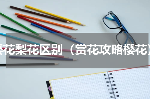樱花梨花区别（赏花攻略樱花）