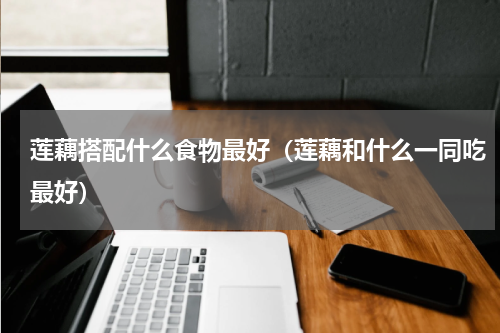 莲藕搭配什么食物最好（莲藕和什么一同吃最好）