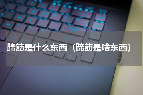 蹄筋是什么东西（蹄筋是啥东西）