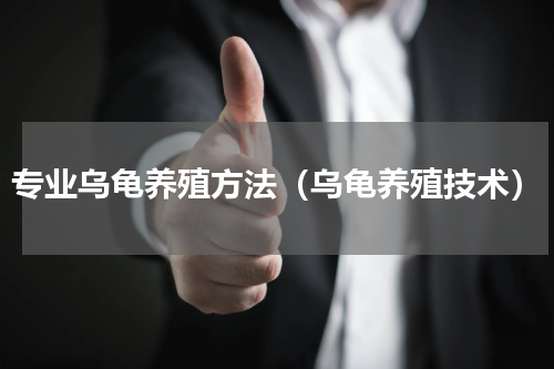 专业乌龟养殖方法（乌龟养殖技术）