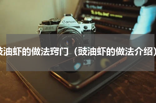 豉油虾的做法窍门（豉油虾的做法介绍）
