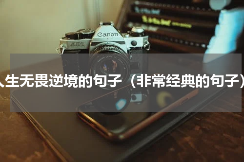 人生无畏逆境的句子（非常经典的句子）