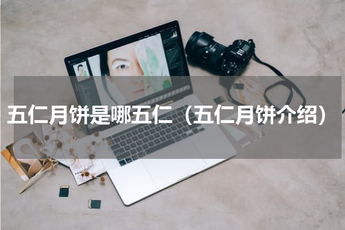 五仁月饼是哪五仁（五仁月饼介绍）