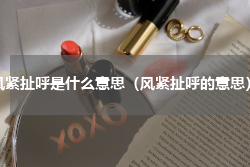 风紧扯呼是什么意思（风紧扯呼的意思）