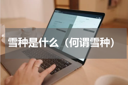 雪种是什么（何谓雪种）
