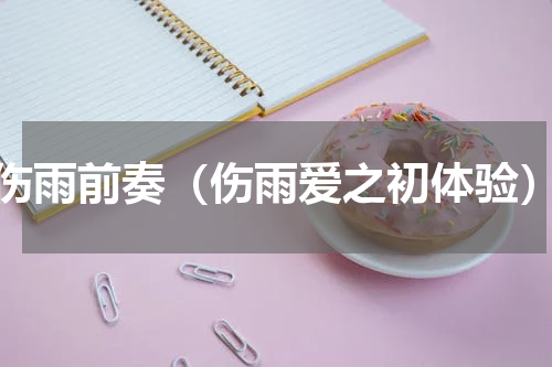 伤雨前奏（伤雨爱之初体验）