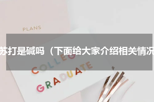 小苏打是碱吗（下面给大家介绍相关情况）