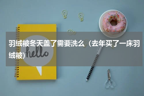 羽绒被冬天盖了需要洗么（去年买了一床羽绒被）