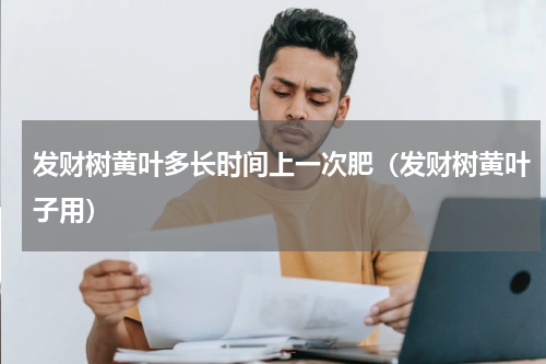 发财树黄叶多长时间上一次肥（发财树黄叶子用）