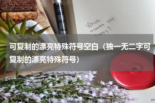 可复制的漂亮特殊符号空白（独一无二字可复制的漂亮特殊符号）