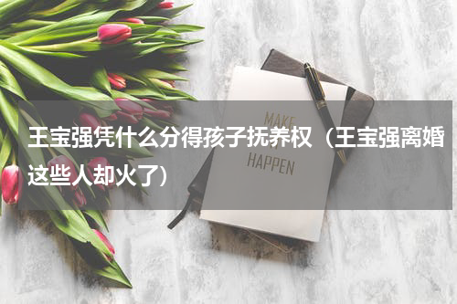 王宝强凭什么分得孩子抚养权（王宝强离婚这些人却火了）