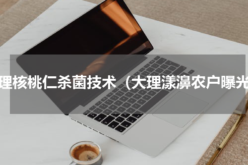 处理核桃仁杀菌技术（大理漾濞农户曝光）