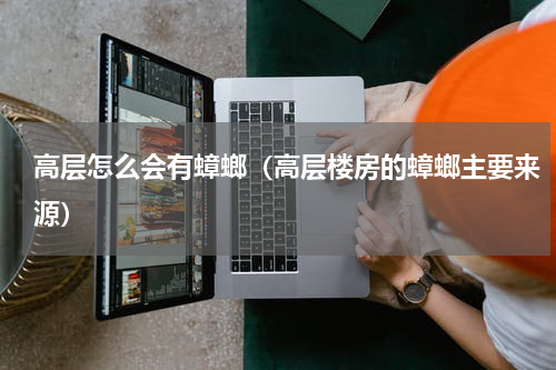 高层怎么会有蟑螂（高层楼房的蟑螂主要来源）