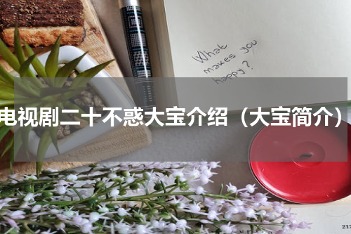 电视剧二十不惑大宝介绍（大宝简介）