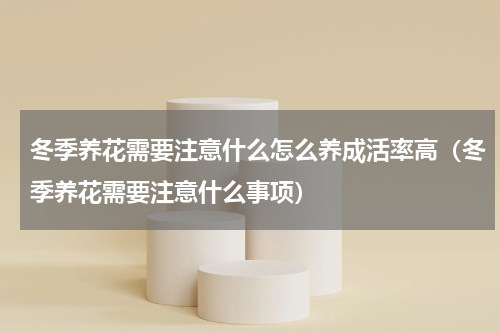 冬季养花需要注意什么怎么养成活率高（冬季养花需要注意什么事项）