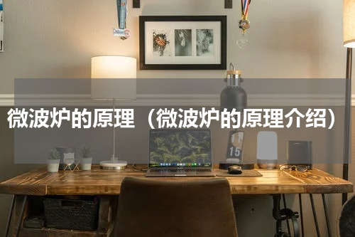 微波炉的原理（微波炉的原理介绍）