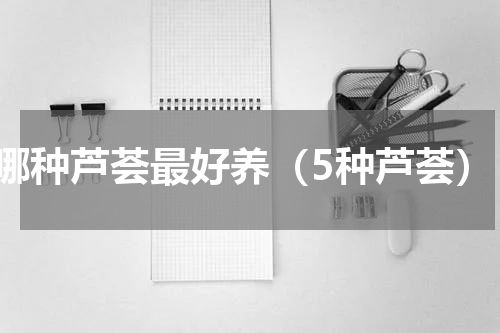 哪种芦荟最好养（5种芦荟）