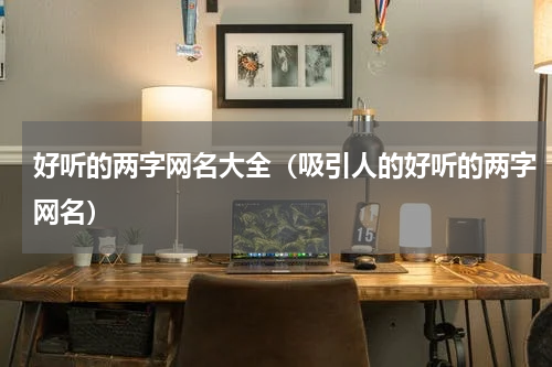 好听的两字网名大全（吸引人的好听的两字网名）