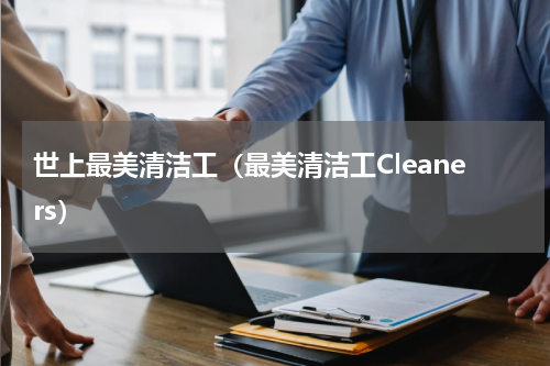 世上最美清洁工（最美清洁工Cleaners）