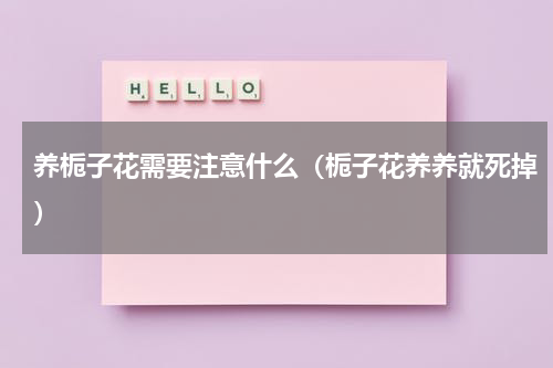 养栀子花需要注意什么（栀子花养养就死掉）