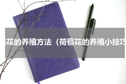 荷苞花的养殖方法（荷苞花的养殖小技巧）