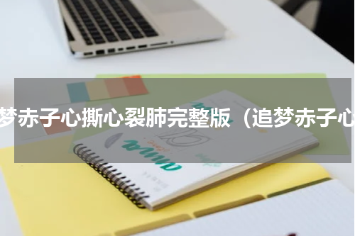 追梦赤子心撕心裂肺完整版（追梦赤子心）