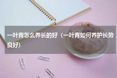 一叶青怎么养长的好（一叶青如何养护长势良好）