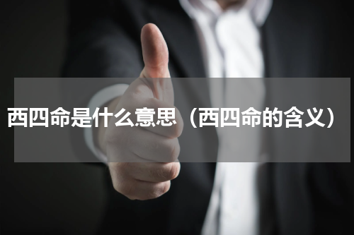 西四命是什么意思（西四命的含义）
