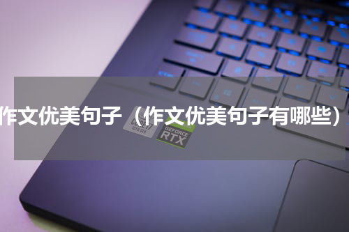 作文优美句子（作文优美句子有哪些）