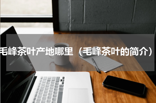 毛峰茶叶产地哪里（毛峰茶叶的简介）