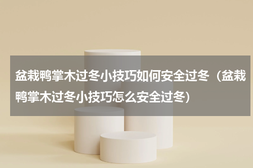 盆栽鸭掌木过冬小技巧如何安全过冬（盆栽鸭掌木过冬小技巧怎么安全过冬）